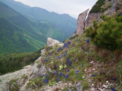 dscf6436.jpg