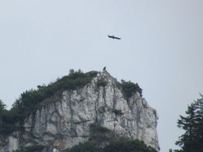 img1121.jpg