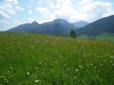 dscf6519.jpg