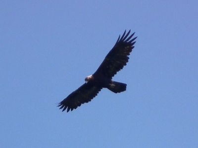 dscf6541.jpg