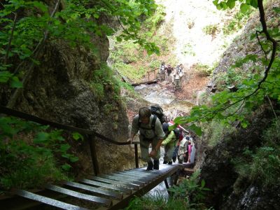 dscf6585.jpg