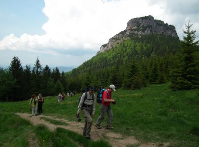 dscf6595.jpg