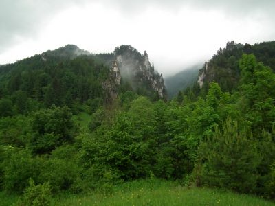 dscf6617.jpg