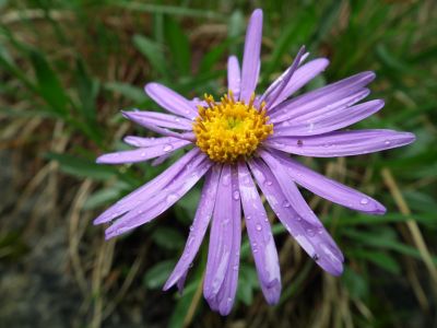 dscf6648.jpg
