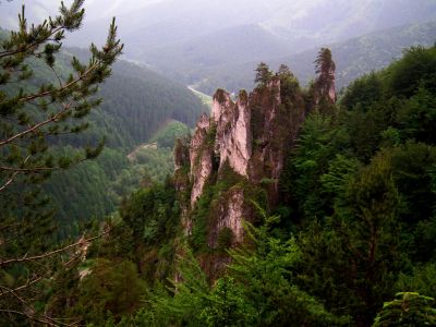 dscf6660.jpg