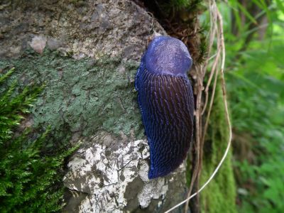 dscf6768.jpg
