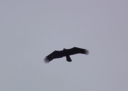 dscf6973.jpg