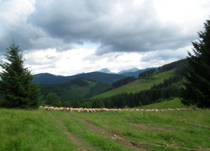 dscf6977.jpg