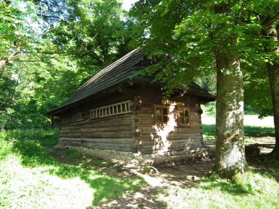 dscf7007.jpg