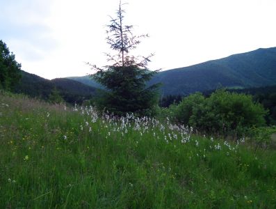 dscf7012.jpg
