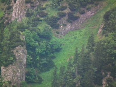 dscf7038.jpg