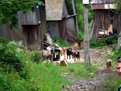 dscf7151.jpg