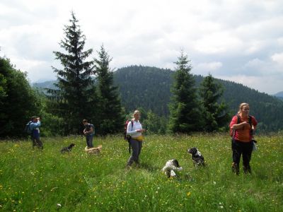 dscf7156.jpg
