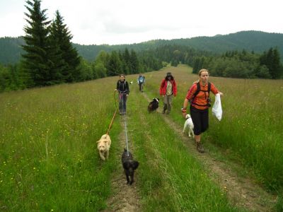 dscf7165.jpg