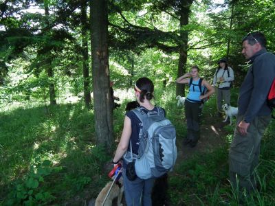 dscf7188.jpg