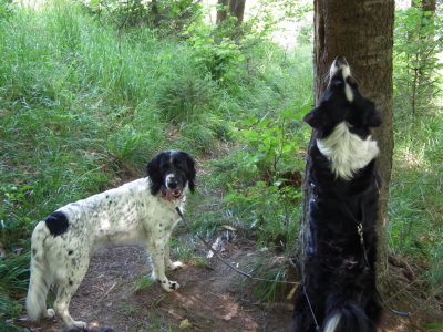 dscf7191.jpg