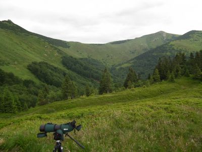 dscf7195.jpg