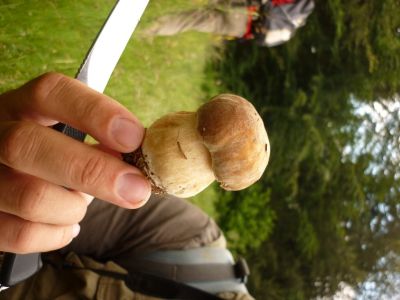 p1020674.jpg