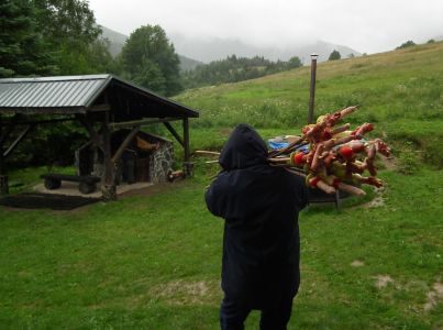 dscf7236.jpg