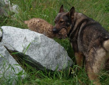 dscf7273-liebevolle-erziehung-von-der-ersatzmama-lilica.jpg