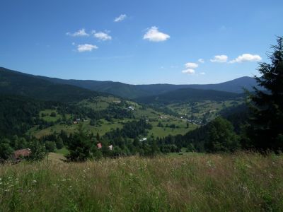 dscf7885.jpg