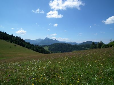 dscf7887.jpg
