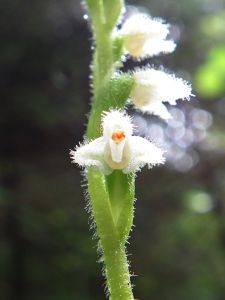 dscf7951.jpg