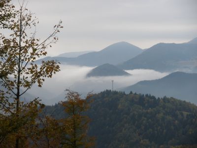 pa230005.jpg