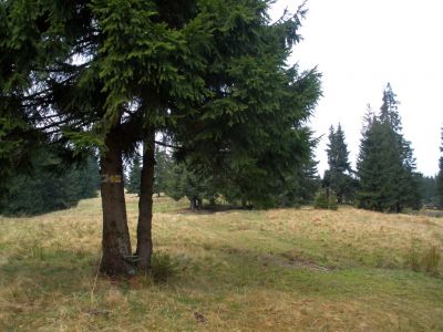 pa260116.jpg