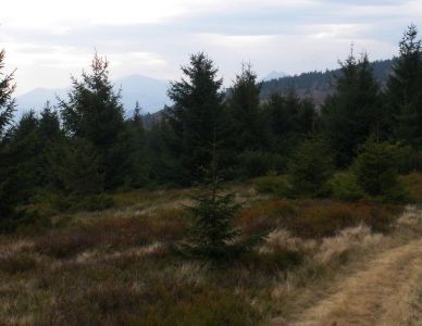 pa260148.jpg