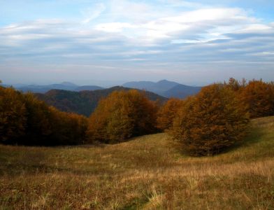 pa270161.jpg