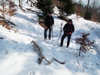 19.2. – 26.2.2011 Spurenlesen in den Westkarpaten