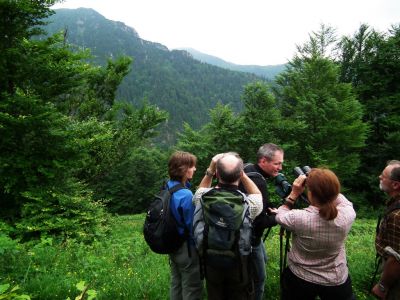 4.6. – 11.6.2011 Naturreise im Nationalpark Mala Fatra und auf Orava