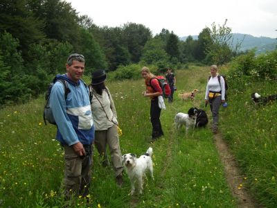 25.6. – 2.7.2011 Hundewanderung in der MalaFatra