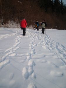 dscf8719.jpg