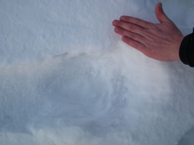 dscf8726.jpg