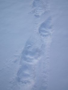 dscf8728.jpg