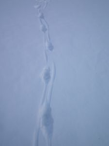 dscf8730.jpg
