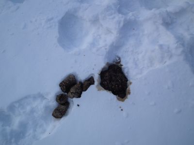 dscf8734.jpg