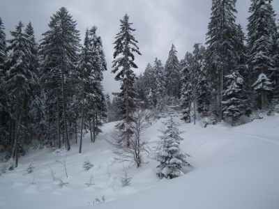 dscf8742.jpg