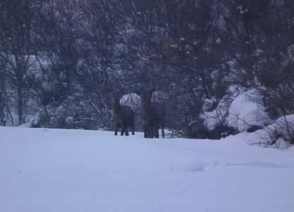 dscf8766.jpg
