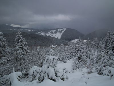 dscf5005.jpg