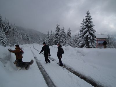 dscf5008.jpg
