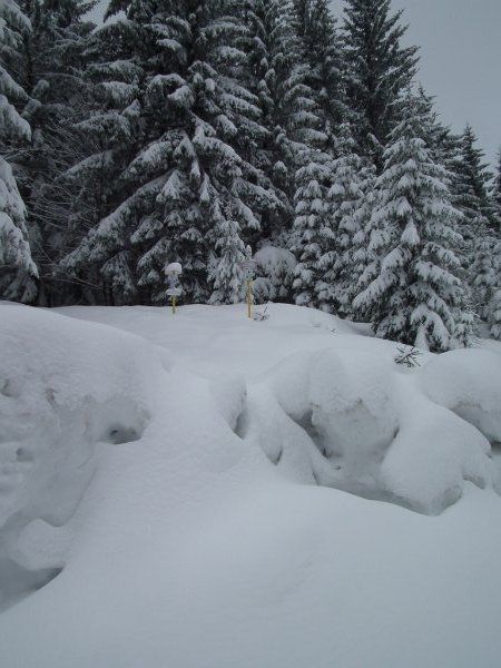 dscf5009.jpg