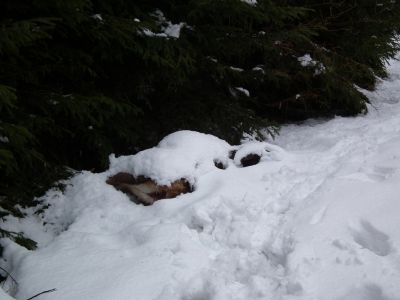 dscf5013.jpg