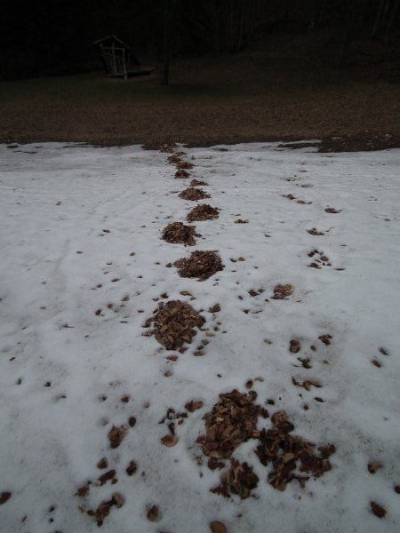 dscf7007.jpg