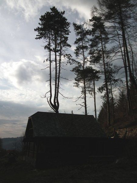 dscf7008.jpg