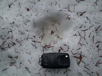 dscf7030.jpg