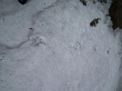 dscf7043.jpg