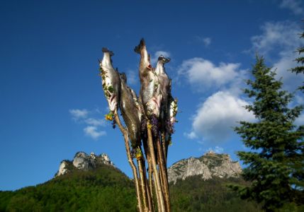 dscf7293.jpg